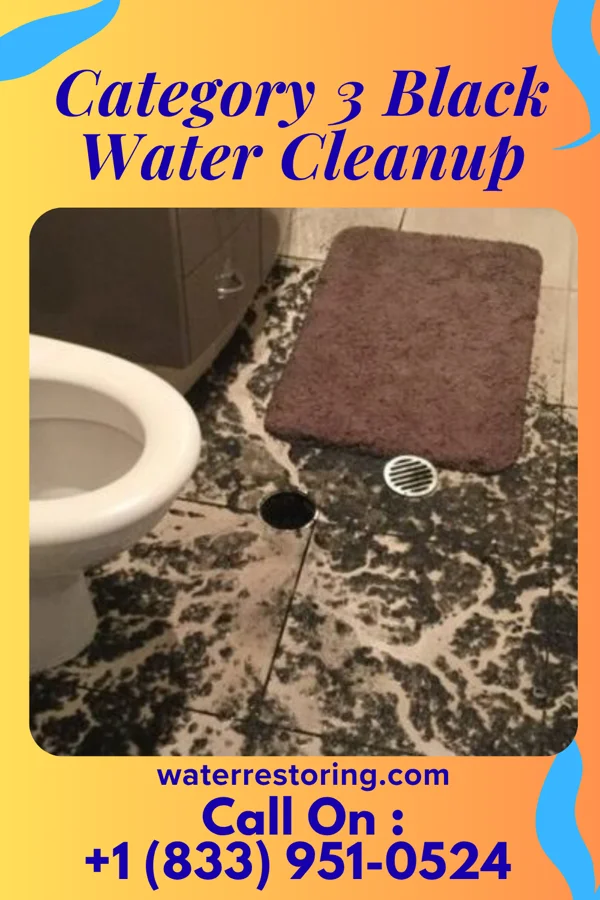 Category 3 Black Water Cleanup in Cedar Hill, TN