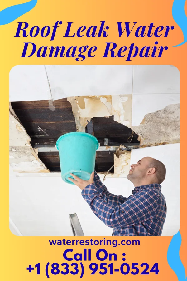 Roof Leak Water Damage Repair in Cedar Hill, TN