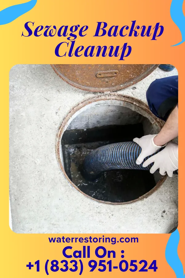 Sewage Backup Cleanup in Cedar Hill, TN