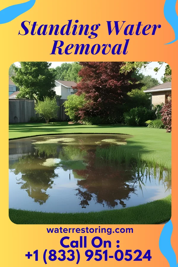 Standing Water Removal in Cedar Hill, TN